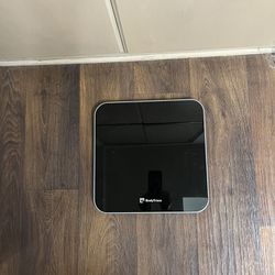 BodyTrace Weight Scale 