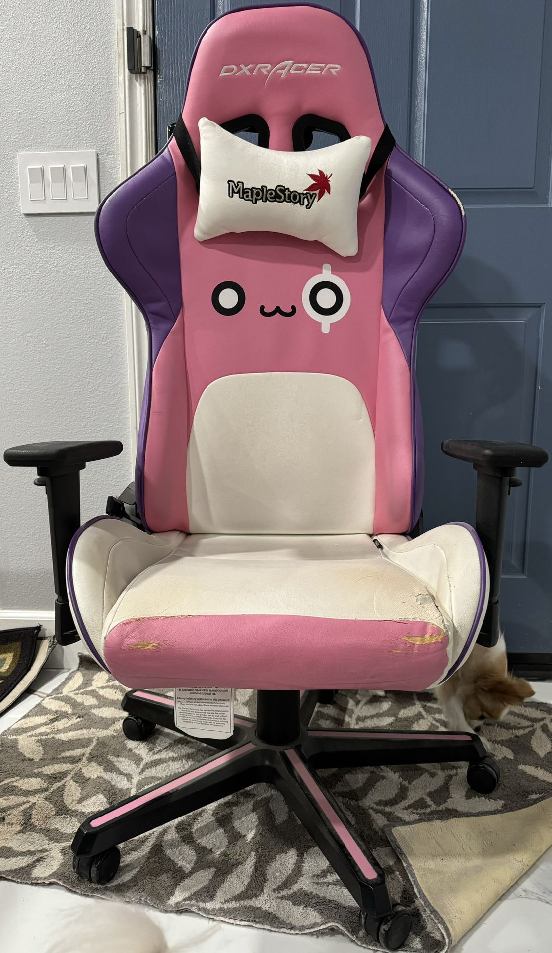 Exclusive Pink Bean Chair