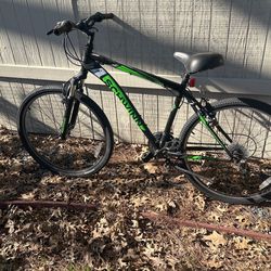 Schwinn Bike