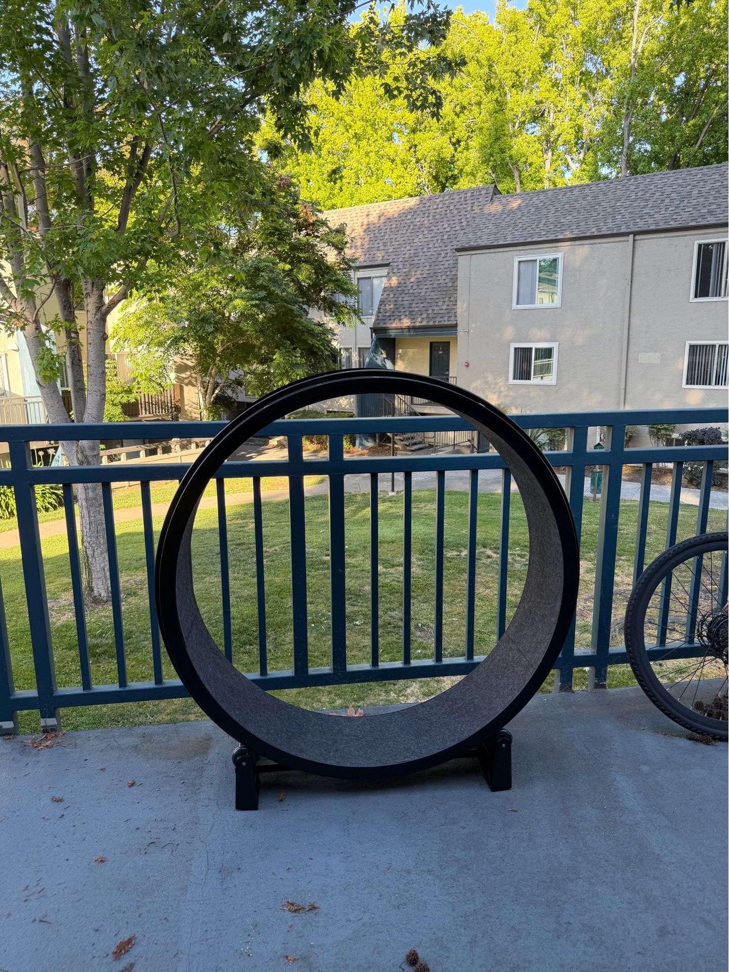 Cat Wheel