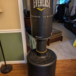 Everlast Stationary Punching Bag- Sand Base