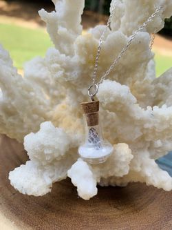 Real Miniature Seashell in Glass Bottle Necklace