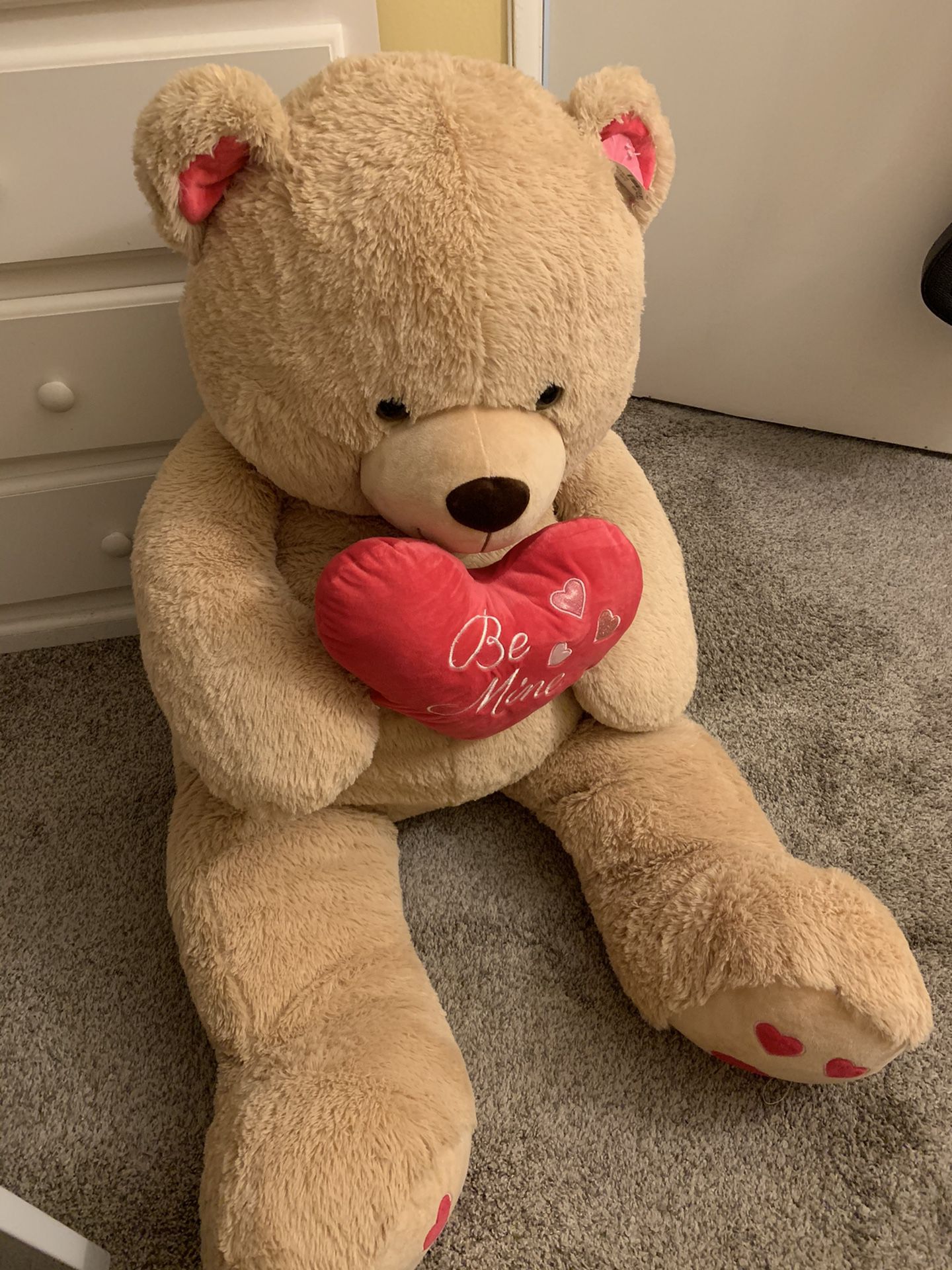 giant teddy bear $20 OBO