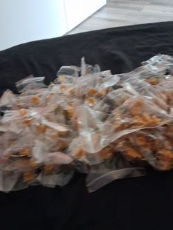 300 rose pins