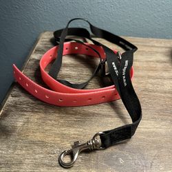 Dog E-collar And Remote Strap