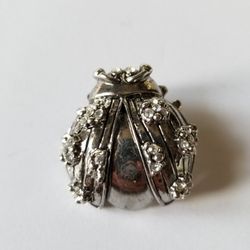 Lady Bug Ladybug Pin/brooch Silver