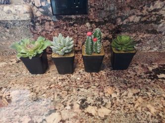 FOUR Artificial Cactus & Succulents In 2 1/2 " pots