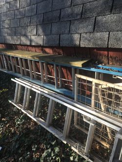 24 foot sturdy contractor vinyl ladder