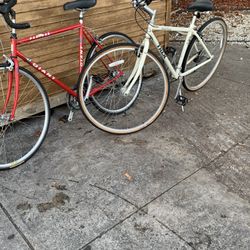 Trek And Giant Bicycles 