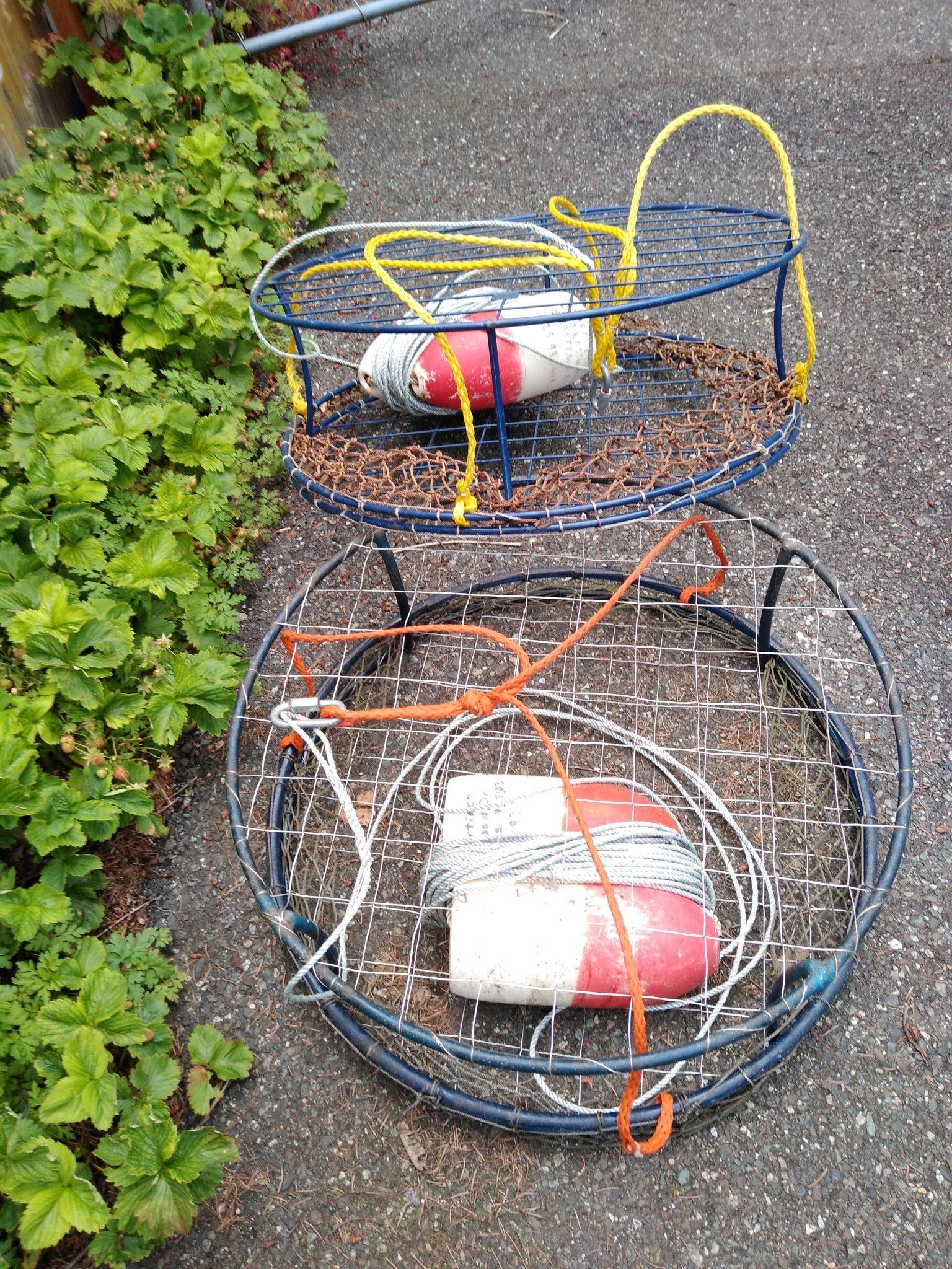 Crab pots for Sale in Everett, WA OfferUp