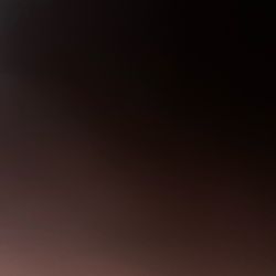 Any Vendors In Indianapolis? 