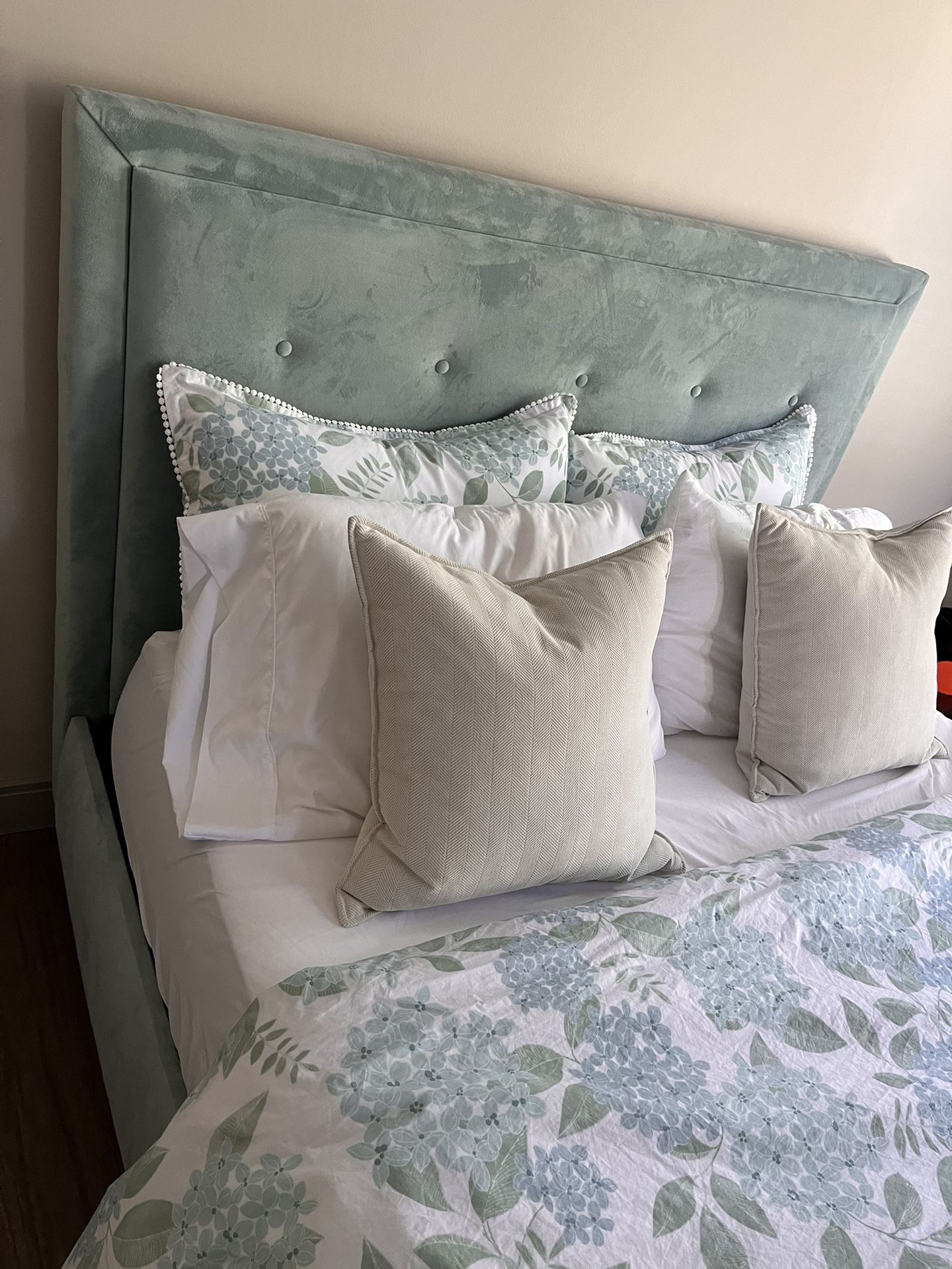 Queen Bed and Casper Mattress
