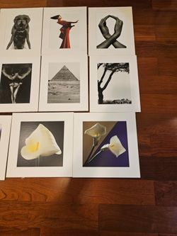 Brand New 11-Piece Art Print Set – 12x15 & 14.5x14.5 – $99