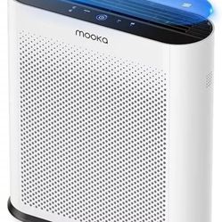 Air Purifiers for Home Large Room 1650ft² with PM2.5 Air Quality Sensor, H13 ...