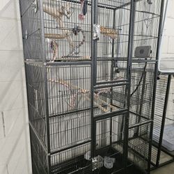Birdcage