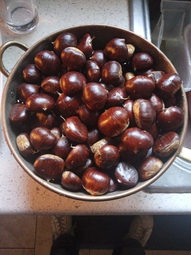 Chinese Chestnuts