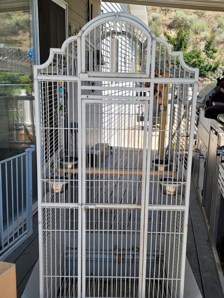 Bird Cage