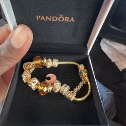 Brand New Pandora Bracelet 