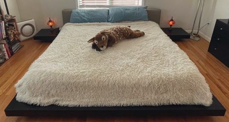 King Platform Bed