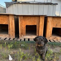 Wood Dog Houses