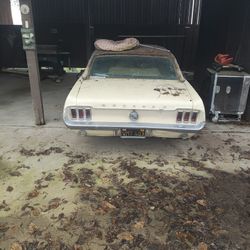 Selling My 65 Ford With A 289 In It