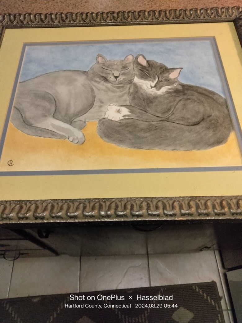 Cats