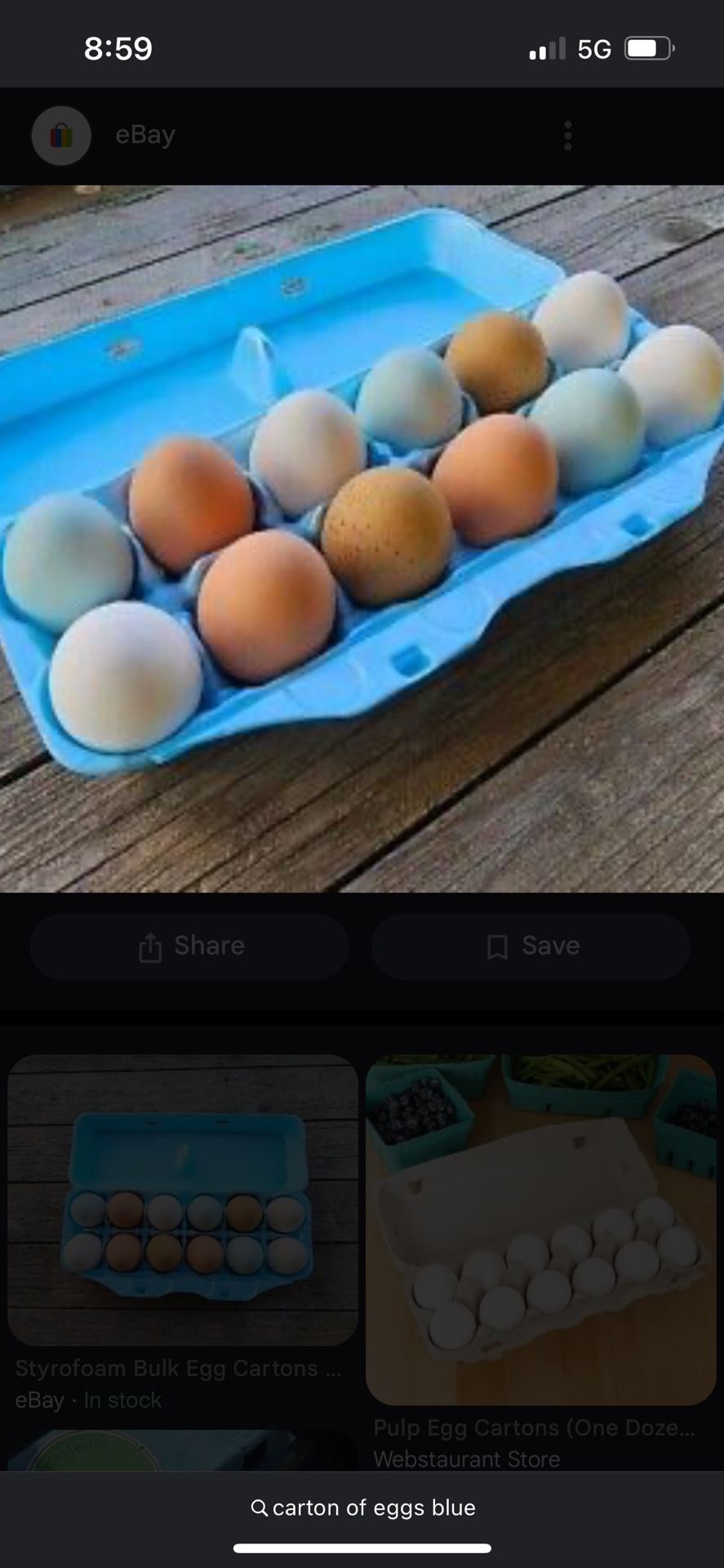 Fresh Duck Eggs For Sale
