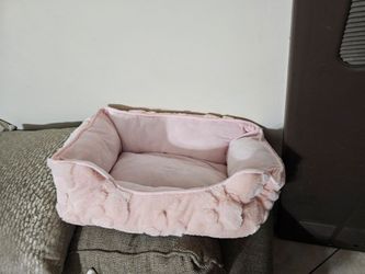 Free dog bed
