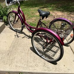 Schwinn Trike Adult 