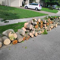 Free Firewood 