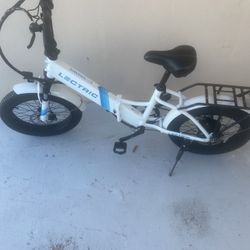 E Bike Lectric 