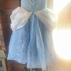 Cinderella Disney Dress