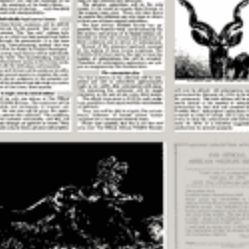 Franklin Mint Bronze African Animals 