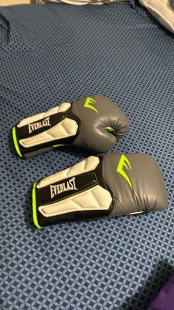 Everlast boxing gloves