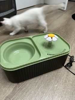 Cat Water Fountain