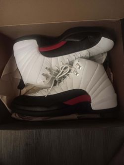 Jordan retro 12