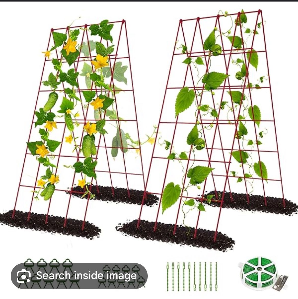 TRELLIS FOR CLIMBING PLANTS