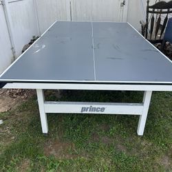 Ping Pong Table