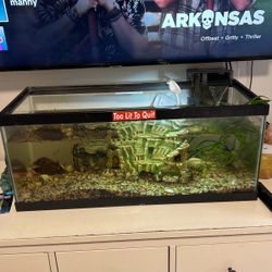 Big Fish Tank With Live Fishs And Snails 