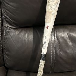 Baseball Bat