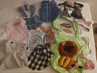 Puppy Clothing With Accessories