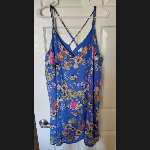 Blue Floral Plus Size Mini Dress With Crisscross Back (2XL) 