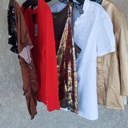 OVER $200 PLUS SIZES BUNDLE OF CLOTHES 2X, 14/16W 18W