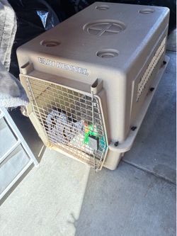 Medium dog crate
