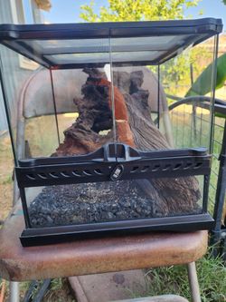 Bioactive terrarium