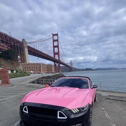 Mustang 
