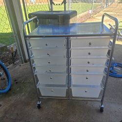 Craft Organizer Cart