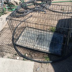 Jaypa Para Pero Grande O Pequeño 25$