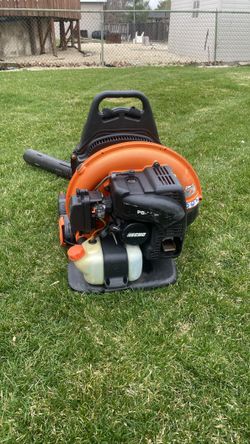 Echo blower 755