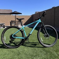 Specialized Rockhopper Expert (L)